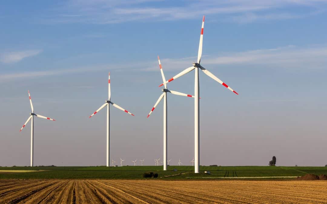 Windkraftausbau steigern, Naturschutz sichern!
