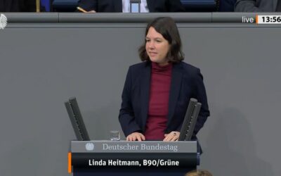 Meine Rede zur Post
