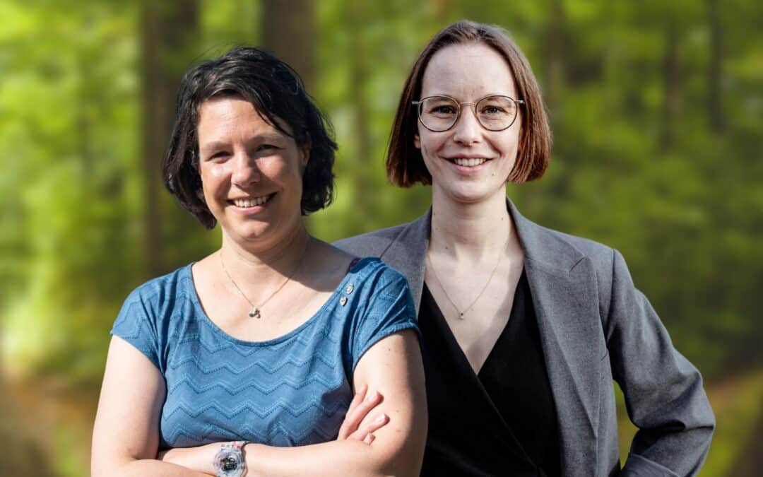 Cannabis-Evaluation und -Gesetzgebung: Wie geht es weiter?
