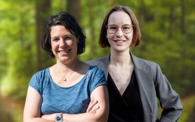 Cannabis-Evaluation und -Gesetzgebung: Wie geht es weiter?