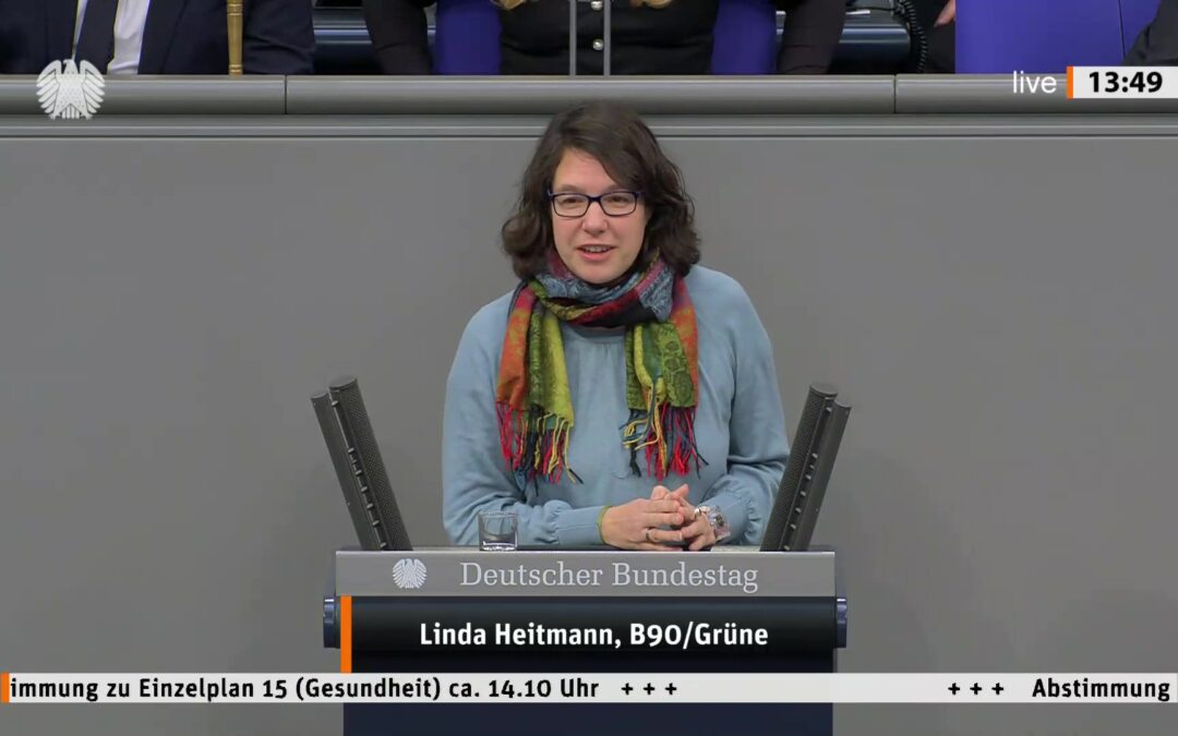 Rede zum Haushalt 2026