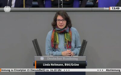 Rede zum Haushalt 2026