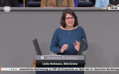 Rede zum Wahlprüfungsausschuss