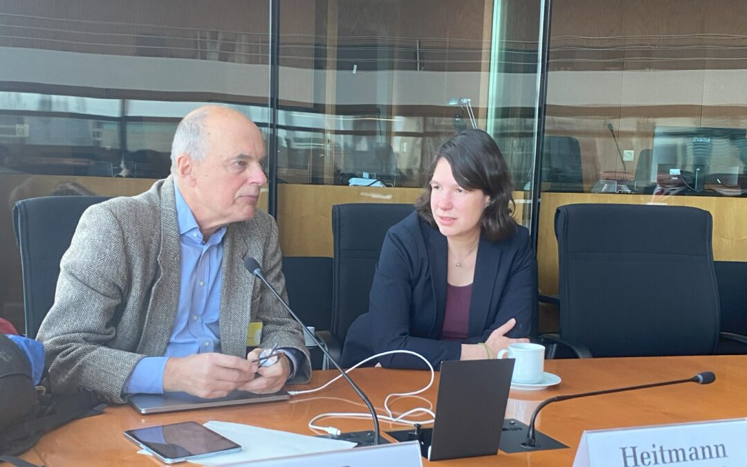 Neue Arbeitsgruppen in der Corona-Enquete-Kommission