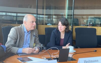 Neue Arbeitsgruppen in der Corona-Enquete-Kommission