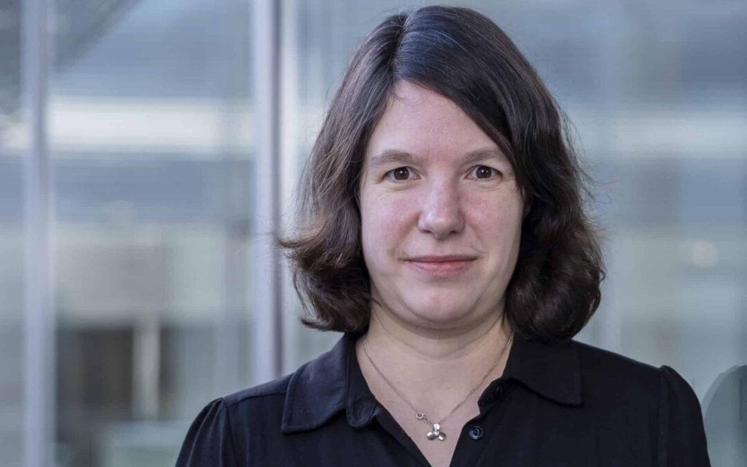 Presse: Kleine Anfrage ME/CFS, Long-COVID und postvirale Erkrankungen