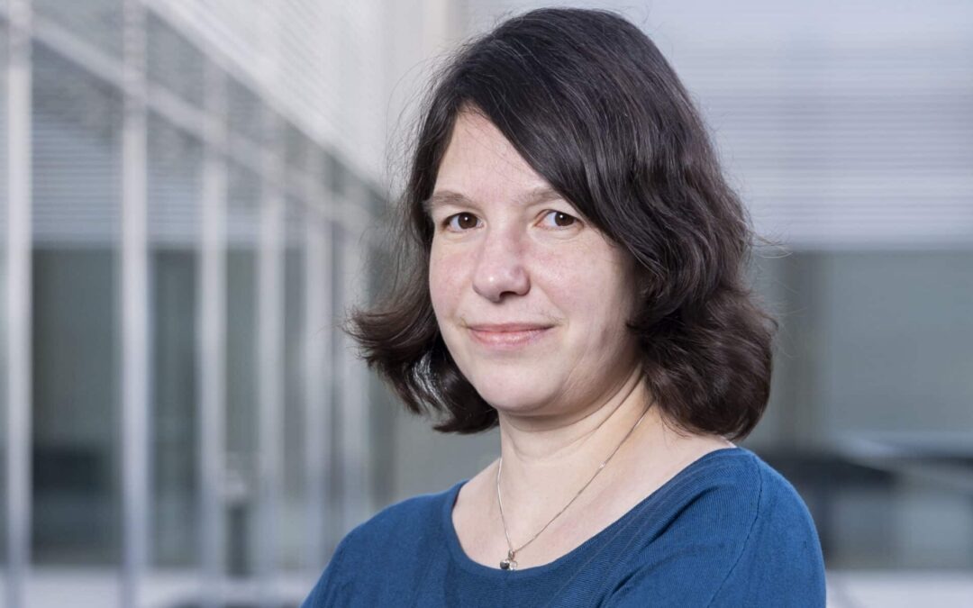 Statement: Warken bleibt beim Klein-Klein – Strukturreform bleibt aus