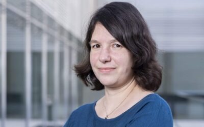 Statement: Warken bleibt beim Klein-Klein – Strukturreform bleibt aus