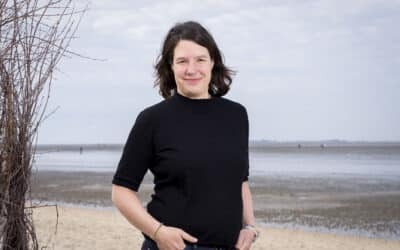 Presse: Lasst das Meer zur Ruhe kommen! Grüner Antrag zur Begrenzung von Unterwasserlärm